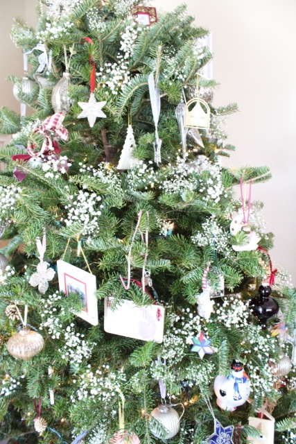 Close up of the tree