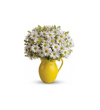 Daisies or daisy-type mums like these from Teleflora have country charm.