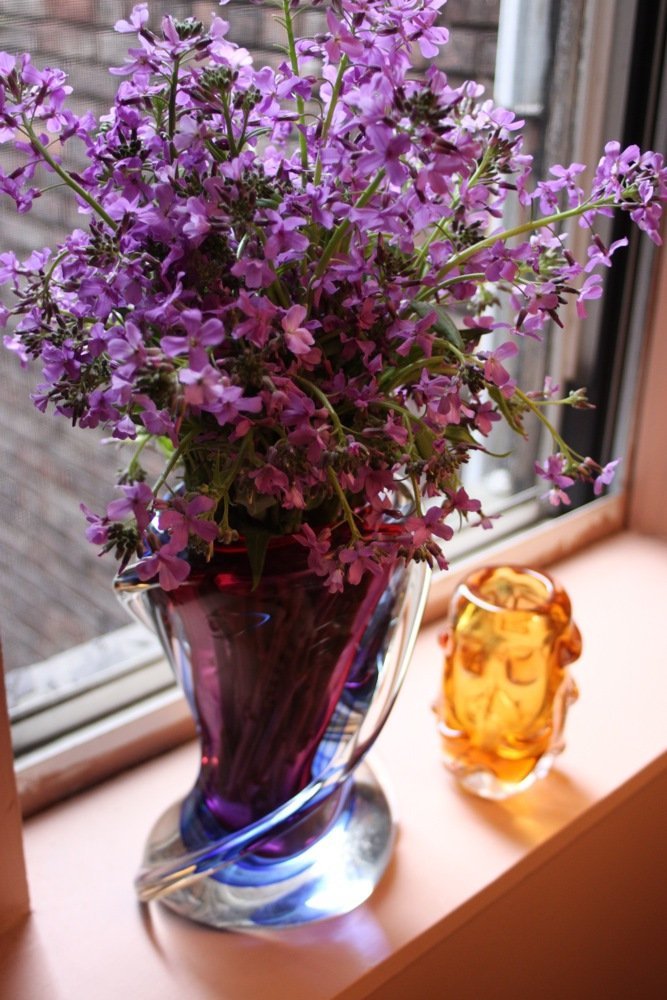purple phlox in purple vase with gold accent vase apt therapy